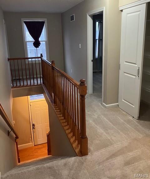 New Town At St Chas - Residential