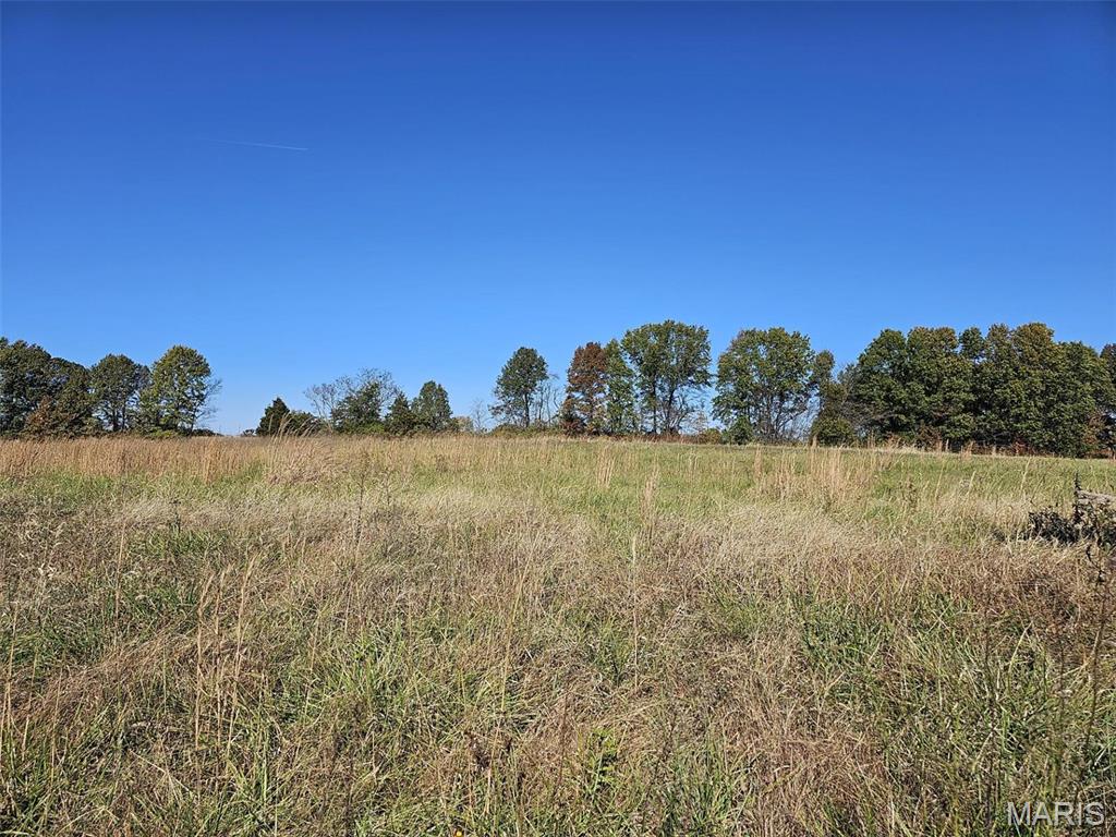 Foristell, Missouri 63348, United States, ,Land,Active,81073