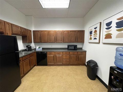 Tiny photo for 643 Cepi Drive, Chesterfield, MO 63005 (MLS # 26001238)