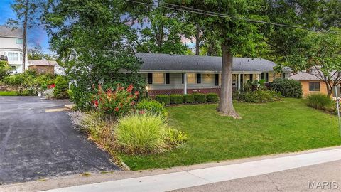 1807 Orchard Lane Festus MO 63028