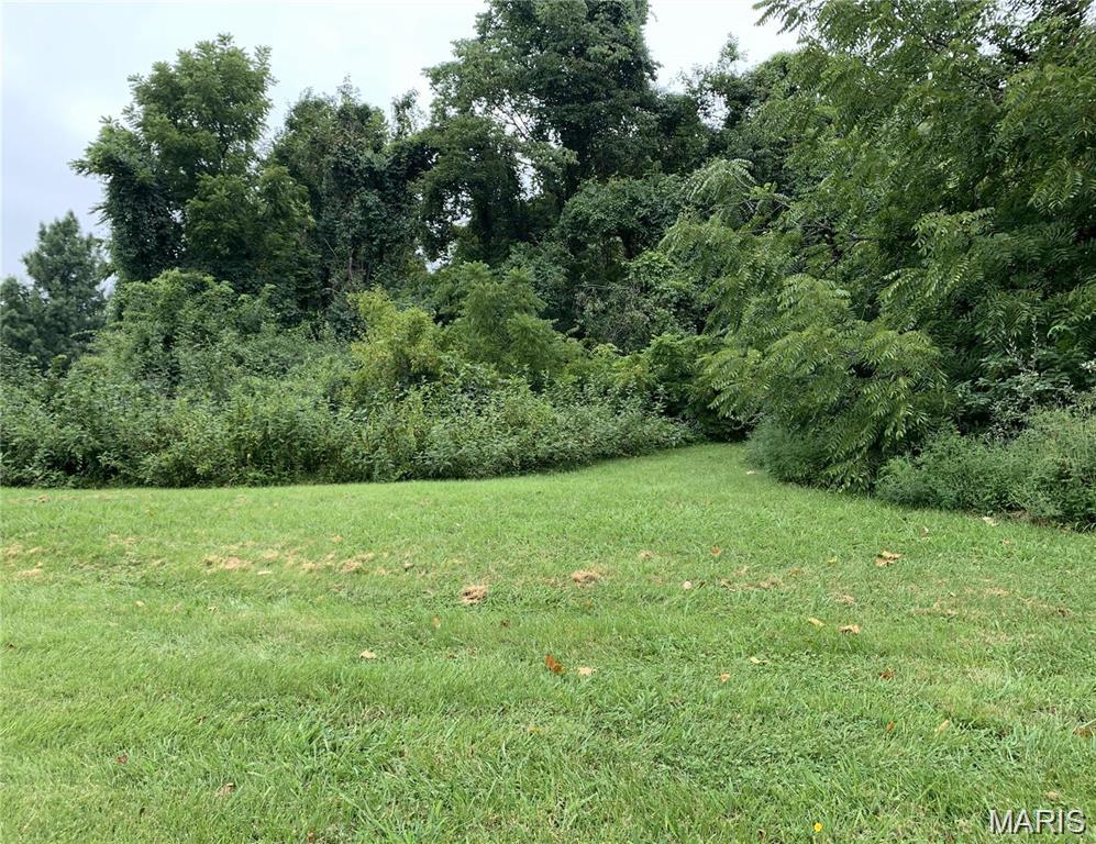 View of green lawn