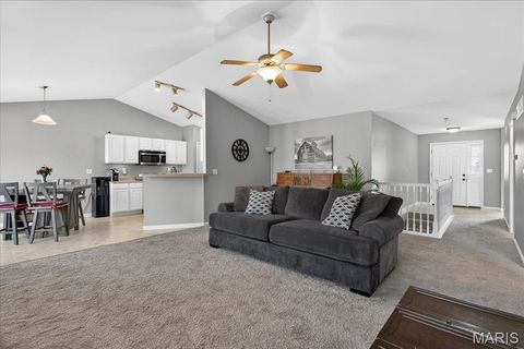 Tiny photo for 1 Cuivre River Drive, Troy, MO 63379 (MLS # 26011087)