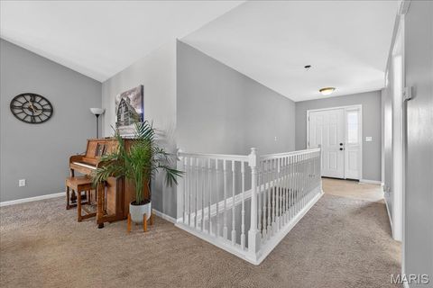 Tiny photo for 1 Cuivre River Drive, Troy, MO 63379 (MLS # 26011087)