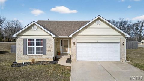 1 Cuivre River Drive Troy MO 63379