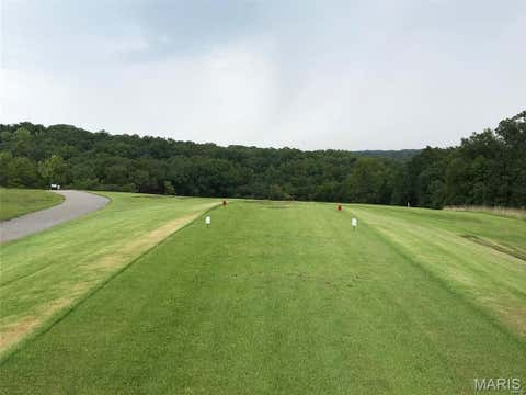 Tiny photo for 141 Cottonblossom Dr Drive, Unincorporated, MO 63050 (MLS # 26037927)