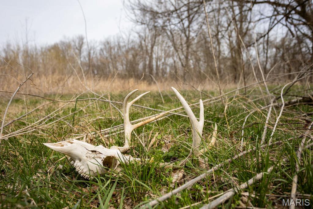 no subdivision - Residential