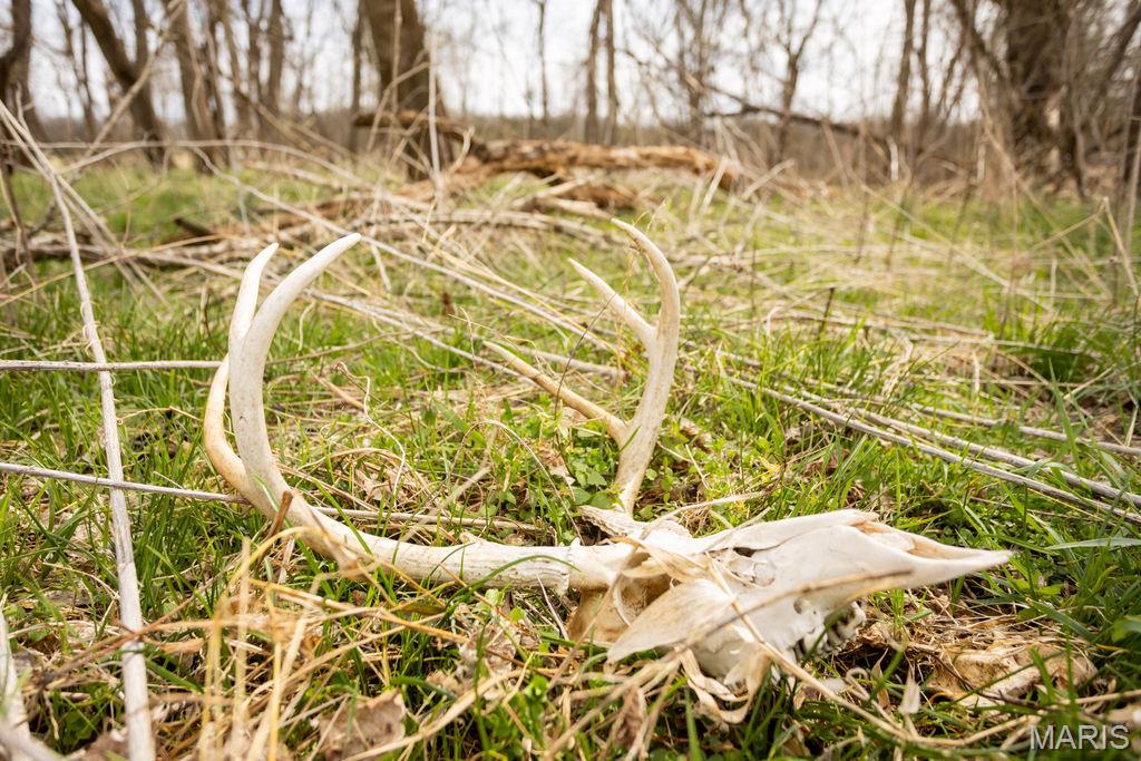 no subdivision - Residential