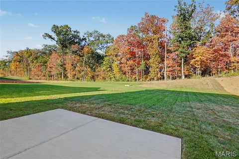 Tiny photo for 452 Evening Primrose Drive, Wentzville, MO 63385 (MLS # 26064580)