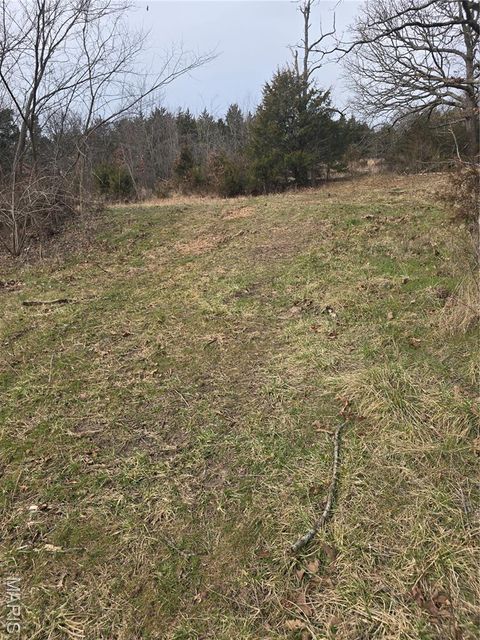 Tiny photo for 11763 State Highway W, Elkland, MO 65644 (MLS # 26010105)
