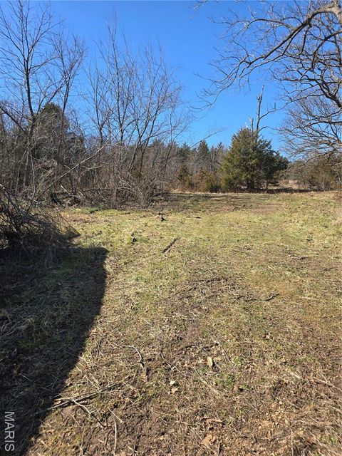 Tiny photo for 11763 State Highway W, Elkland, MO 65644 (MLS # 26010105)