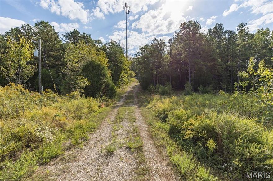 Just in time for hunting season! This 3.18-acre parcel located off Hwy 67 in Fredericktown, MO is a hunter’s dream. Mostly wooded and private, it offers excellent wildlife habitat and easy access for weekend getaways or your next hunting base camp. This property adjoins 22,234 acres of Mark Twain National Forest. 
No restrictions—bring your RV or build a cabin. Electricity is available. Just minutes from town with the seclusion you want. Don’t miss your chance to own a piece of the outdoors! Cell phone tower on property is non income producing.