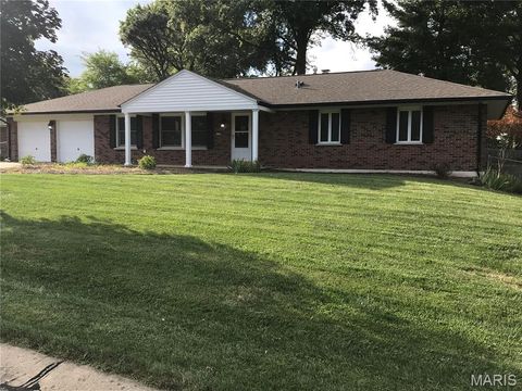 Photo of 11107 Leisure Lane, St Louis, MO 63146 (MLS # 26012302)