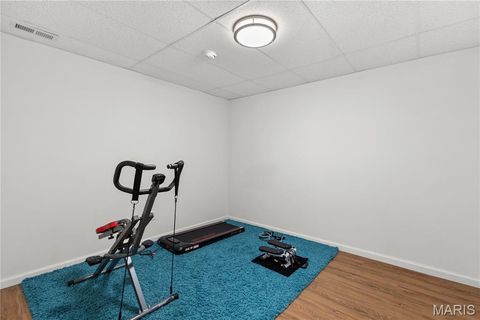 Tiny photo for 1389 Red Oak Plantation Drive, Ballwin, MO 63021 (MLS # 26000554)