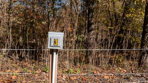 Tiny photo for 11429 County Road 442, Redford, MO 63665 (MLS # 25074554)