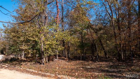 Tiny photo for 11429 County Road 442, Redford, MO 63665 (MLS # 25074554)