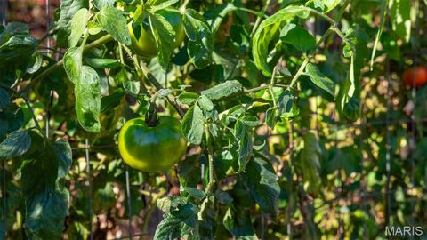 Tiny photo for 11429 County Road 442, Redford, MO 63665 (MLS # 25074554)