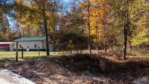 Tiny photo for 11429 County Road 442, Redford, MO 63665 (MLS # 25074554)