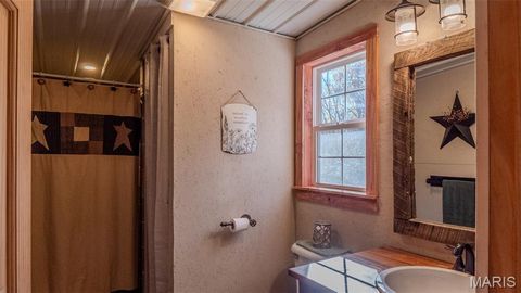 Tiny photo for 11429 County Road 442, Redford, MO 63665 (MLS # 25074554)