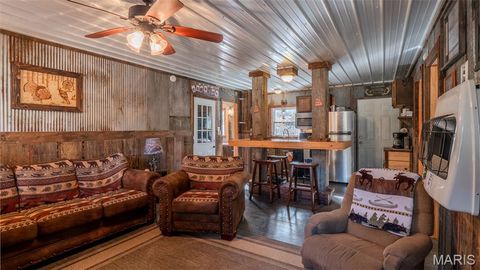 Tiny photo for 11429 County Road 442, Redford, MO 63665 (MLS # 25074554)