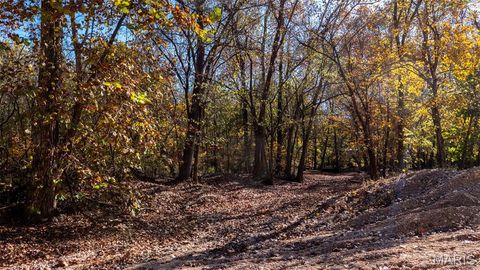 Tiny photo for 11429 County Road 442, Redford, MO 63665 (MLS # 25074554)