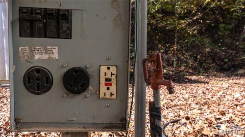 Tiny photo for 11429 County Road 442, Redford, MO 63665 (MLS # 25074554)