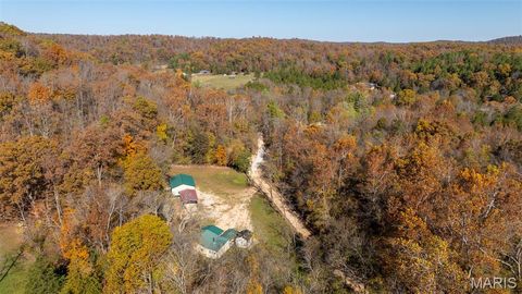 Tiny photo for 11429 County Road 442, Redford, MO 63665 (MLS # 25074554)