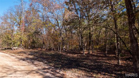 Tiny photo for 11429 County Road 442, Redford, MO 63665 (MLS # 25074554)