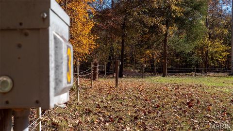 Tiny photo for 11429 County Road 442, Redford, MO 63665 (MLS # 25074554)