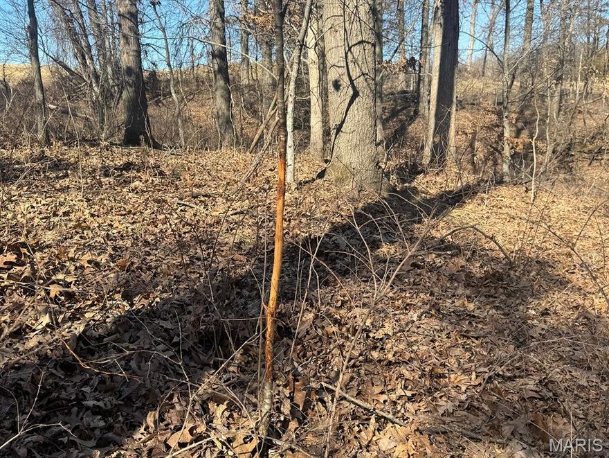 This 3.95±-acre tract is located near Mark Twain Lake and offers a solid building site with a small pond already in place. The layout makes it easy to picture a home, cabin, or weekend getaway with minimal upfront work.  The pond adds a nice touch for just sitting by in the evenings. With a good mix of open space and a quiet setting, this property works well for someone wanting a place close to the lake but not crowded.  Additional acreage is available.