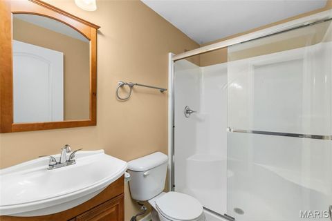 Tiny photo for 313 Shadow Trace Drive, Wentzville, MO 63385 (MLS # 26003312)