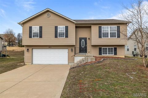 313 Shadow Trace Drive Wentzville MO 63385