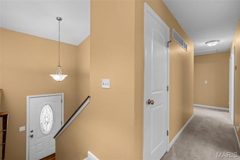 Tiny photo for 313 Shadow Trace Drive, Wentzville, MO 63385 (MLS # 26003312)