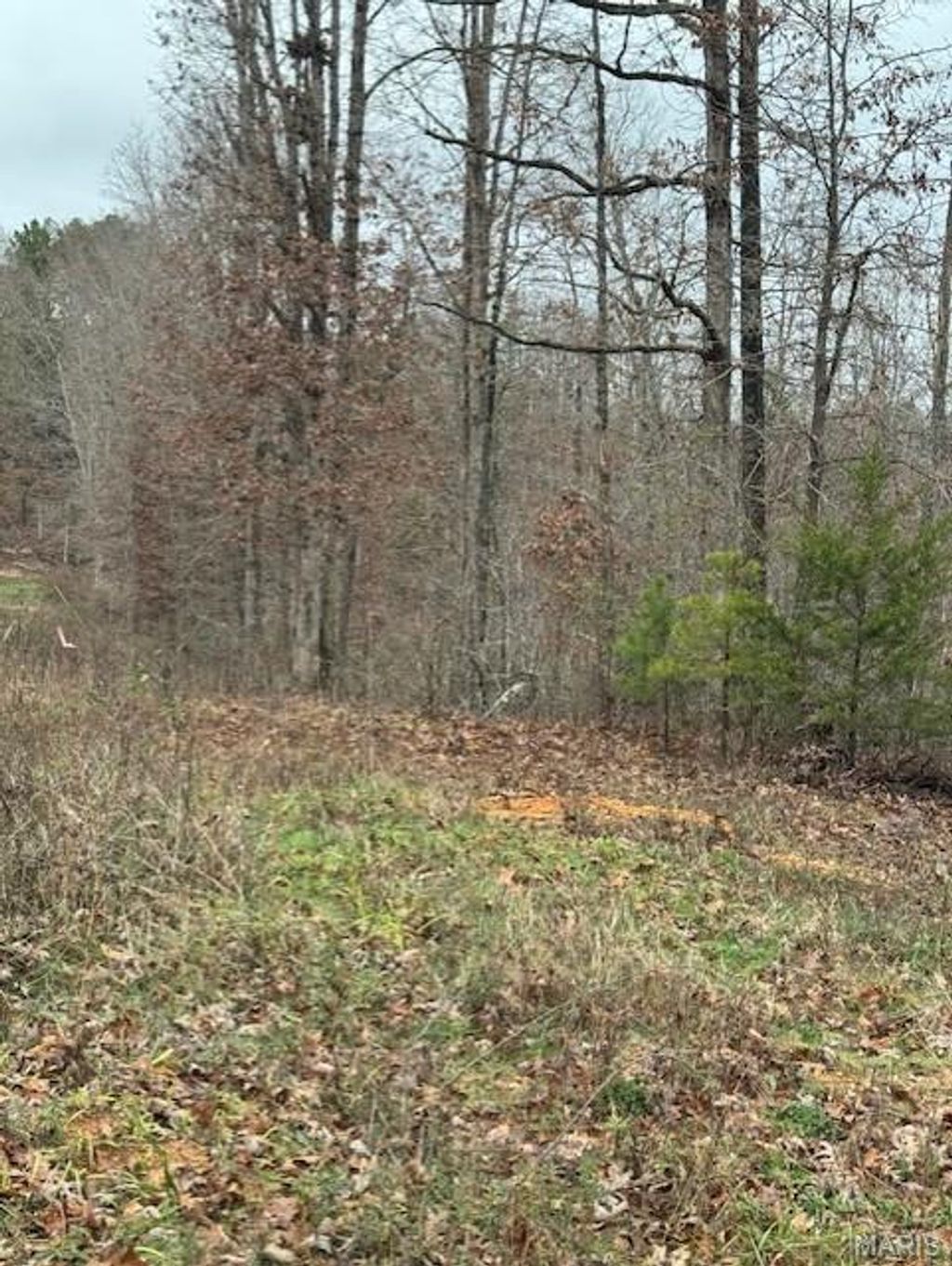 Photo of 9290 SPLITLIMB ROAD, Raymondville, MO 65555 (MLS # 25079522)