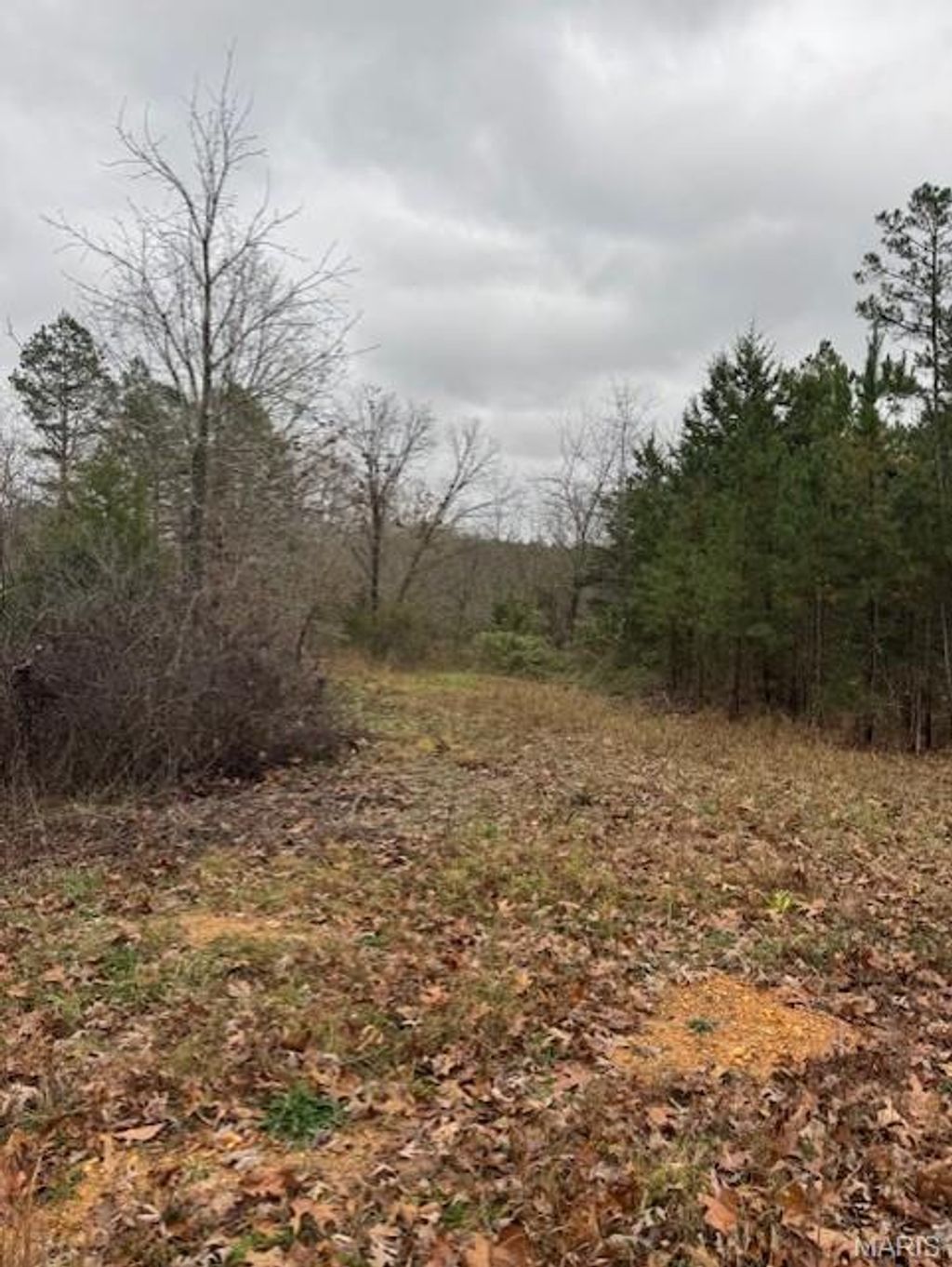 Photo of 9290 SPLITLIMB ROAD, Raymondville, MO 65555 (MLS # 25079522)