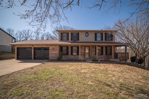 131 Blue Ridge Trace Festus MO 63028