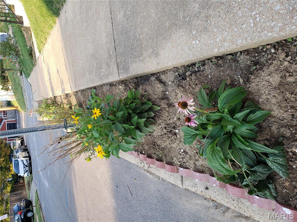 Floria Place - Residential