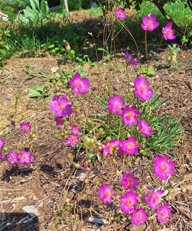 Floria Place - Residential