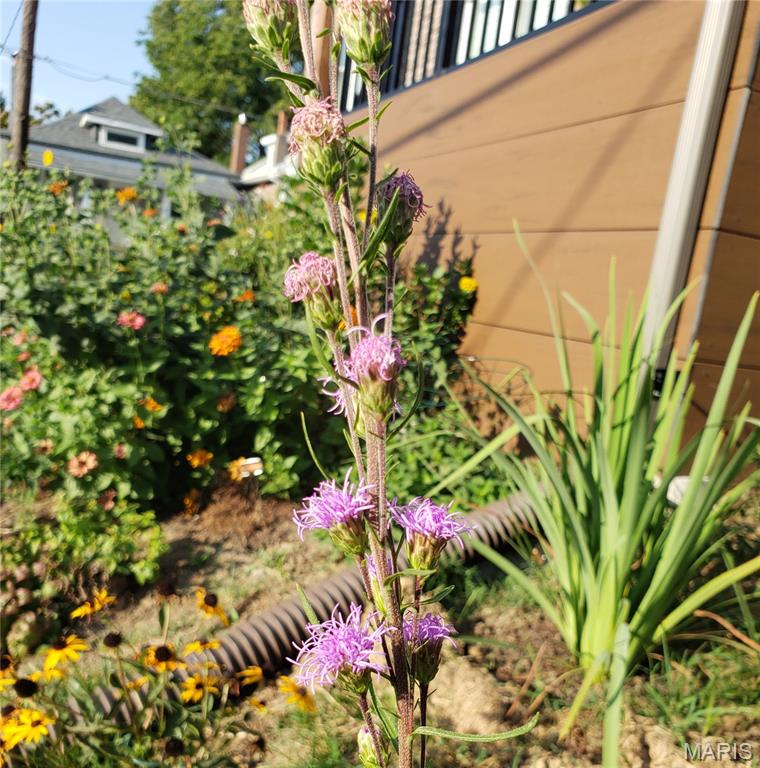 Floria Place - Residential