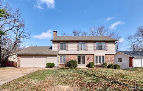 Photo of 15215 Golden Rain Drive, Chesterfield, MO 63017 (MLS # 25072536)
