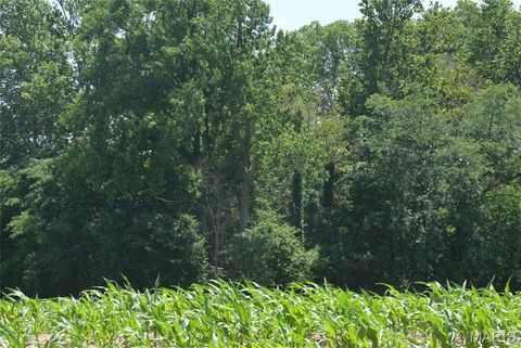 Tiny photo for 0 Pike 107, Frankford, MO 63441 (MLS # 25056313)