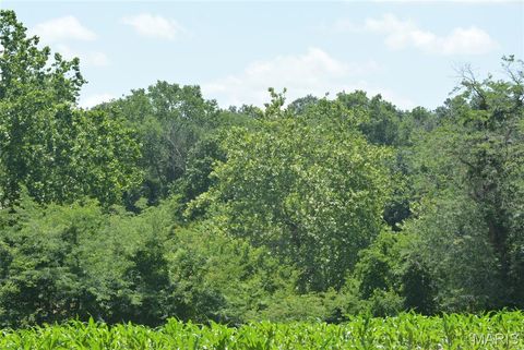 Tiny photo for 0 Pike 107, Frankford, MO 63441 (MLS # 25056313)