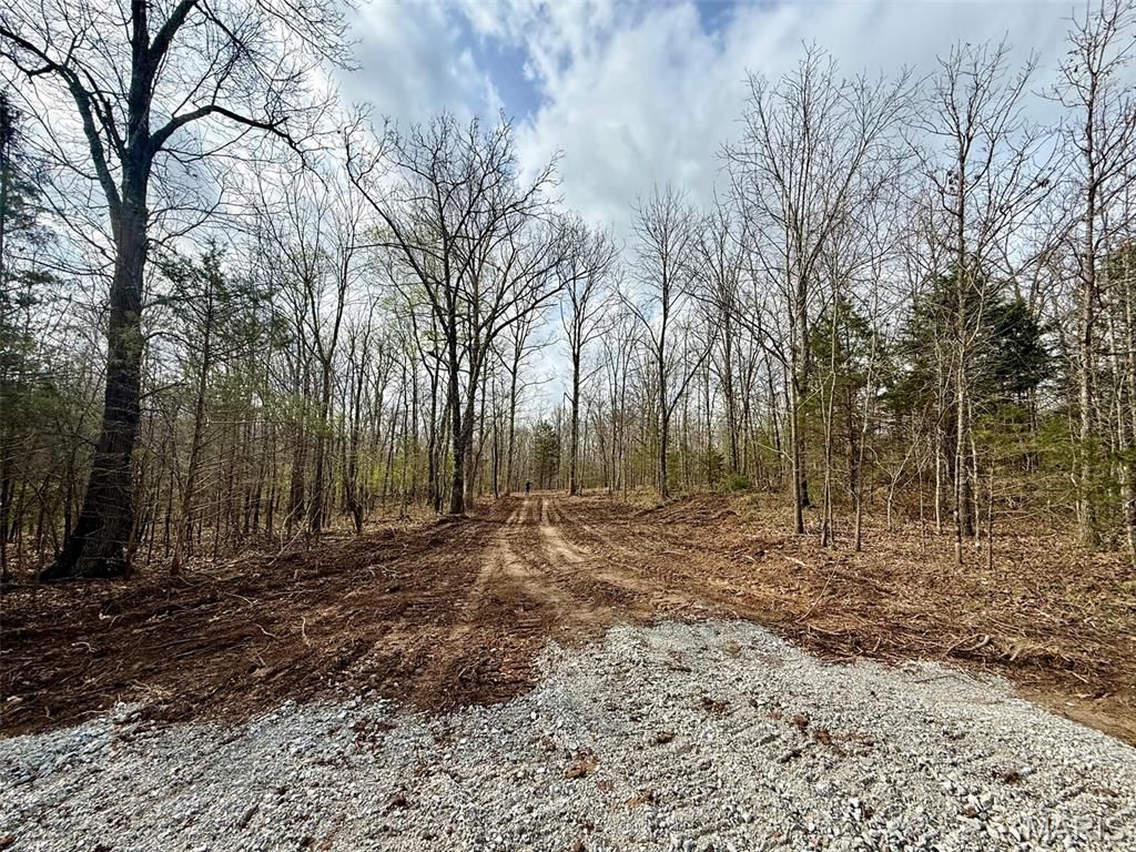 Photo of 000 Highway CC Tract B, Licking, MO 65542 (MLS # 26019758)
