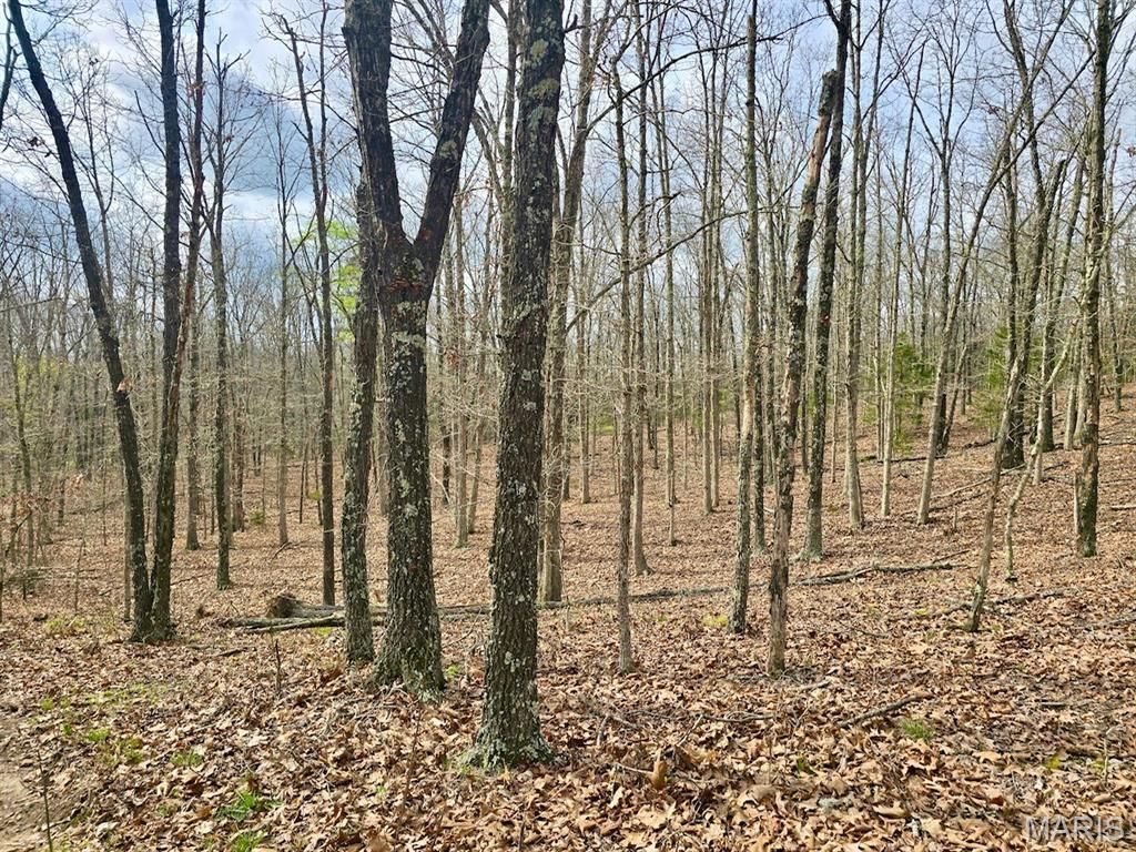 Photo of 000 Highway CC Tract B, Licking, MO 65542 (MLS # 26019758)