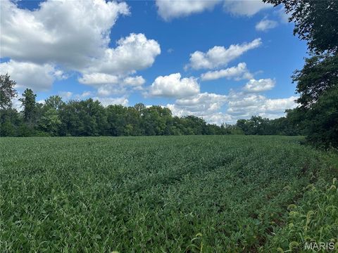 Tiny photo for 0 S 3rd Street, Troy, MO 63379 (MLS # 23052580)