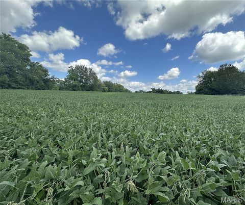 Tiny photo for 0 S 3rd Street, Troy, MO 63379 (MLS # 23052580)