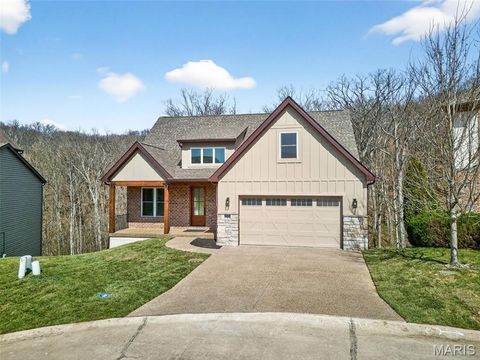 Photo of 4225 Napa View Lane, Unincorporated, MO 63304 (MLS # 26017274)