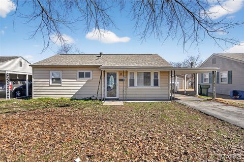 Photo of 3745 Primm Street, St Louis, MO 63123 (MLS # 26015893)