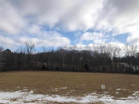 Tiny photo for 0 Lot 1 Holt Farms, Wentzville, MO 63385 (MLS # 26020304)