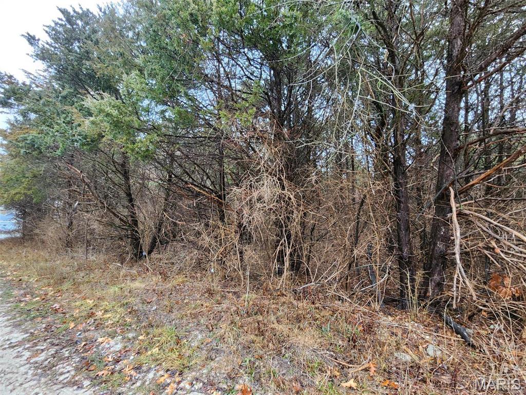 Catawissa, Missouri 63015, United States, ,Land,Active,66134