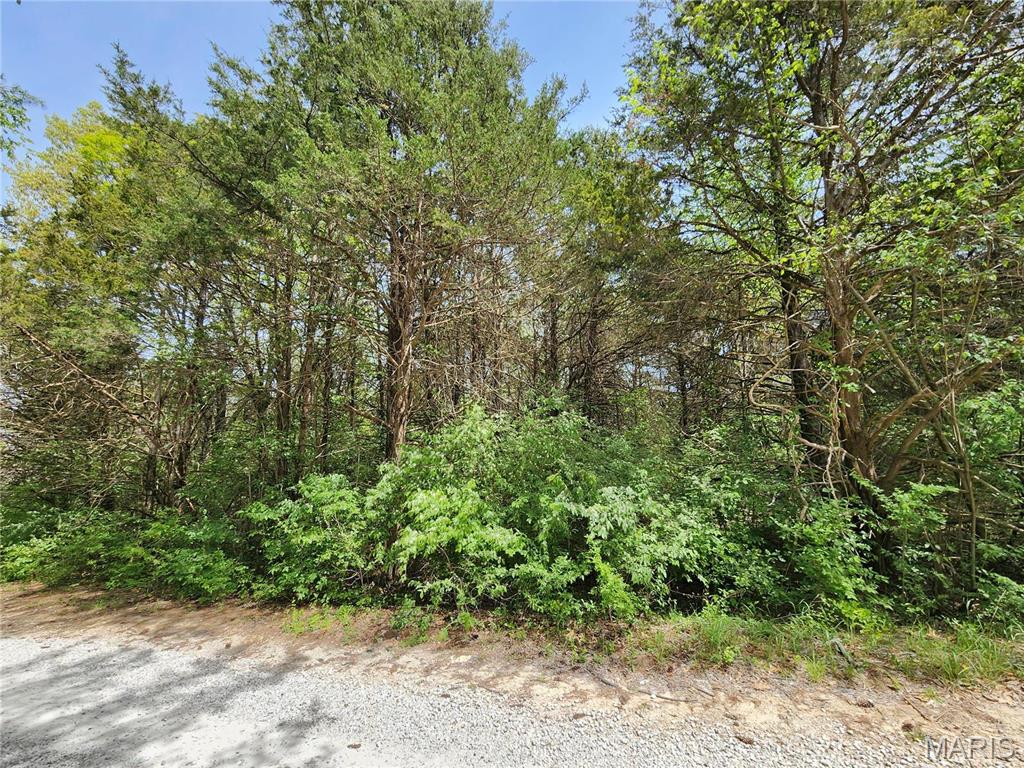 Catawissa, Missouri 63015, United States, ,Land,Active,66134